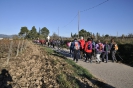 Caminada Solidària en benefici de La Marató de TV3 2015
