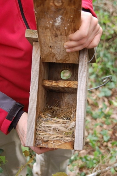 febrer_2010_20100221_1887087039